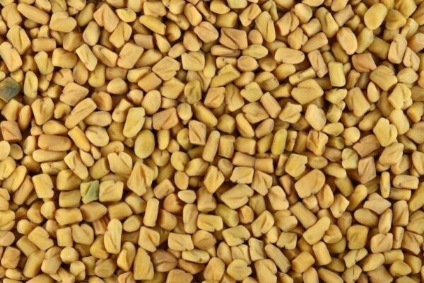What do doctors say about drinking fenugreek-soaked water on an empty stomach?