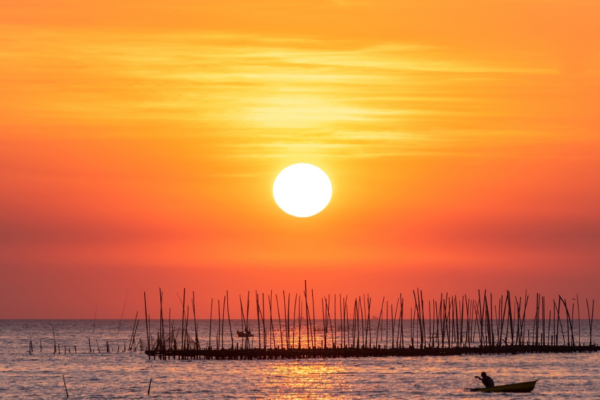 For next 5 days heatwave warning issued for several states