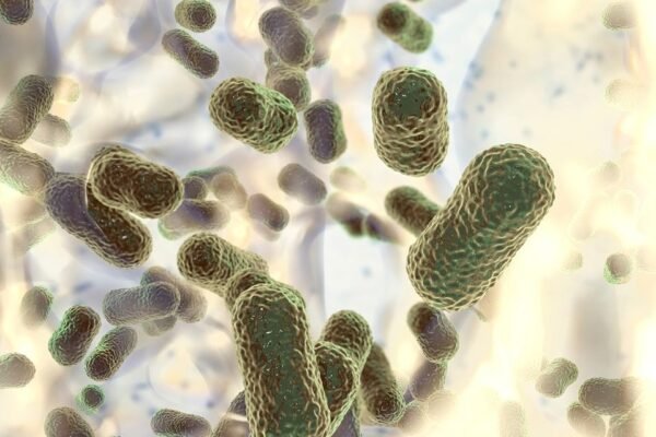 Superbugs Predicted to Kill 40 Million by 2050