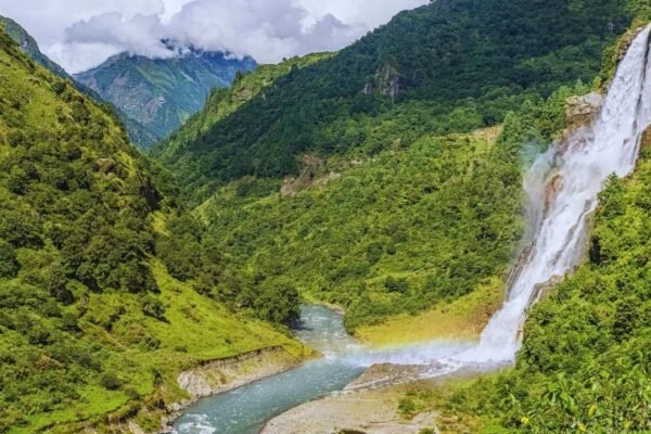 Arunachal Pradesh has the most forest and tree cover according to ISFR 2023