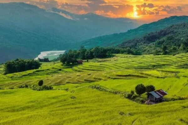 Arunachal’s path for carbon neutrality aims to achieve long-term environmental goals