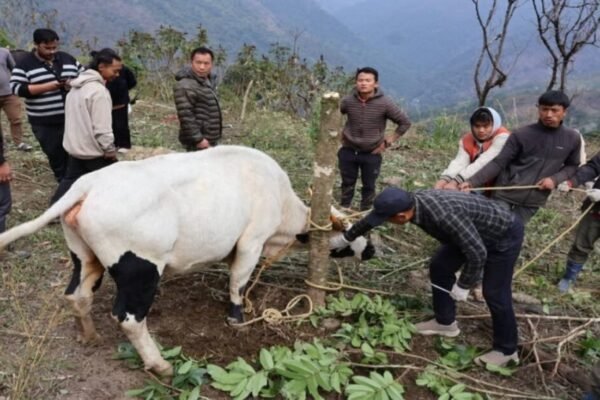 Balancing tradition and ecology: Arunachal workshop targets hunting and livestock losses
