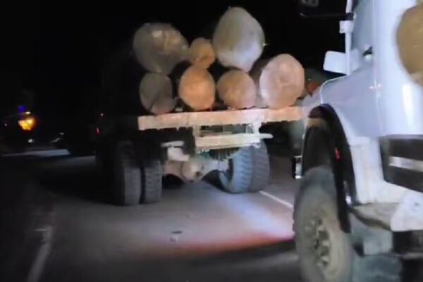 Adi Students’ Union exposes illegal timber racket, slams forest officials for inaction in Arunachal