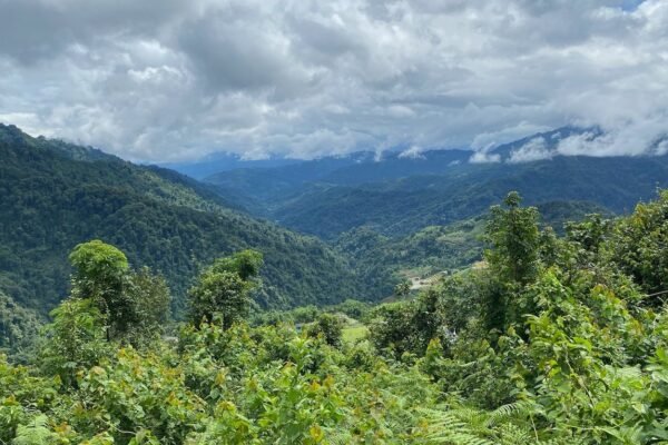 Arunachal CM: 79 per cent forest cover, contributes 14.38 percent of India’s total carbon sequestration