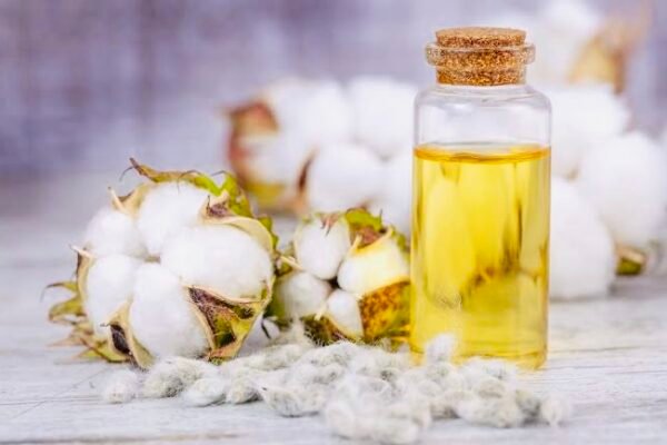 Cottonseed oil cake futures prices jump: New deals