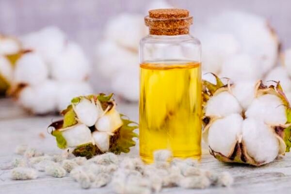 Cottonseed oil cake futures prices gain: New deals