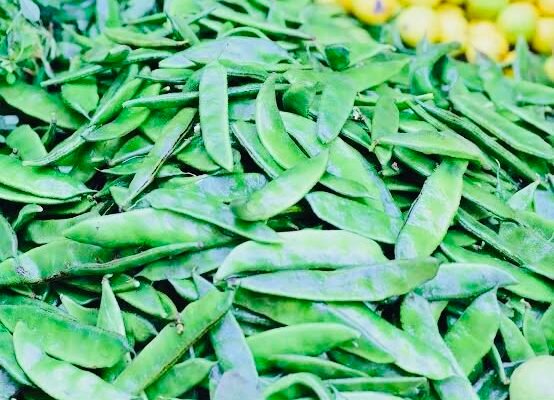 Guar gum futures prices jump on demand