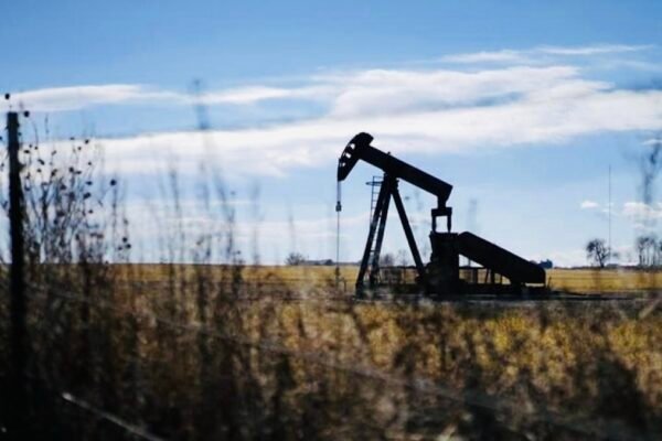 Crude oil futures jump on spot demand