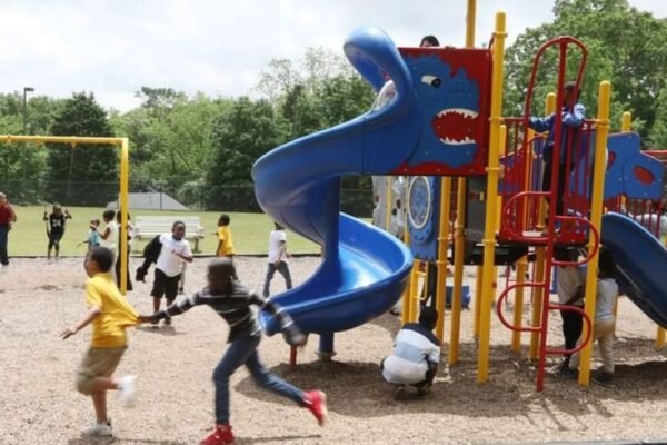 Following the Ziro incident, the APSCPCR demands more safety regulations at children’s parks